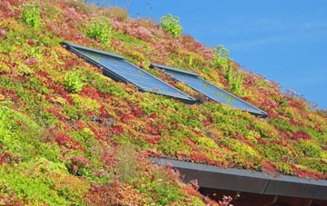 Hurtmore living roof systems